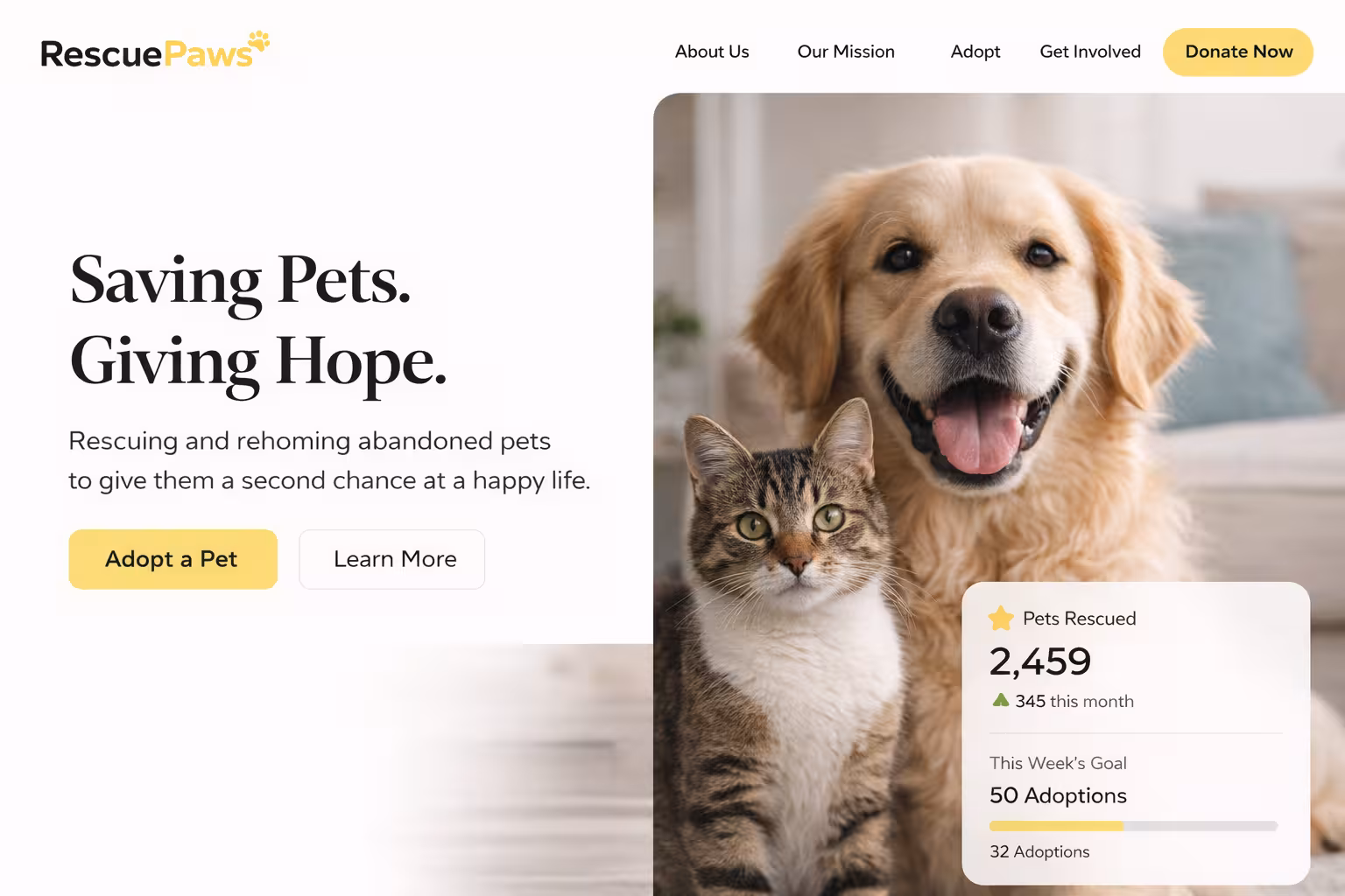 ActionAid project screenshot